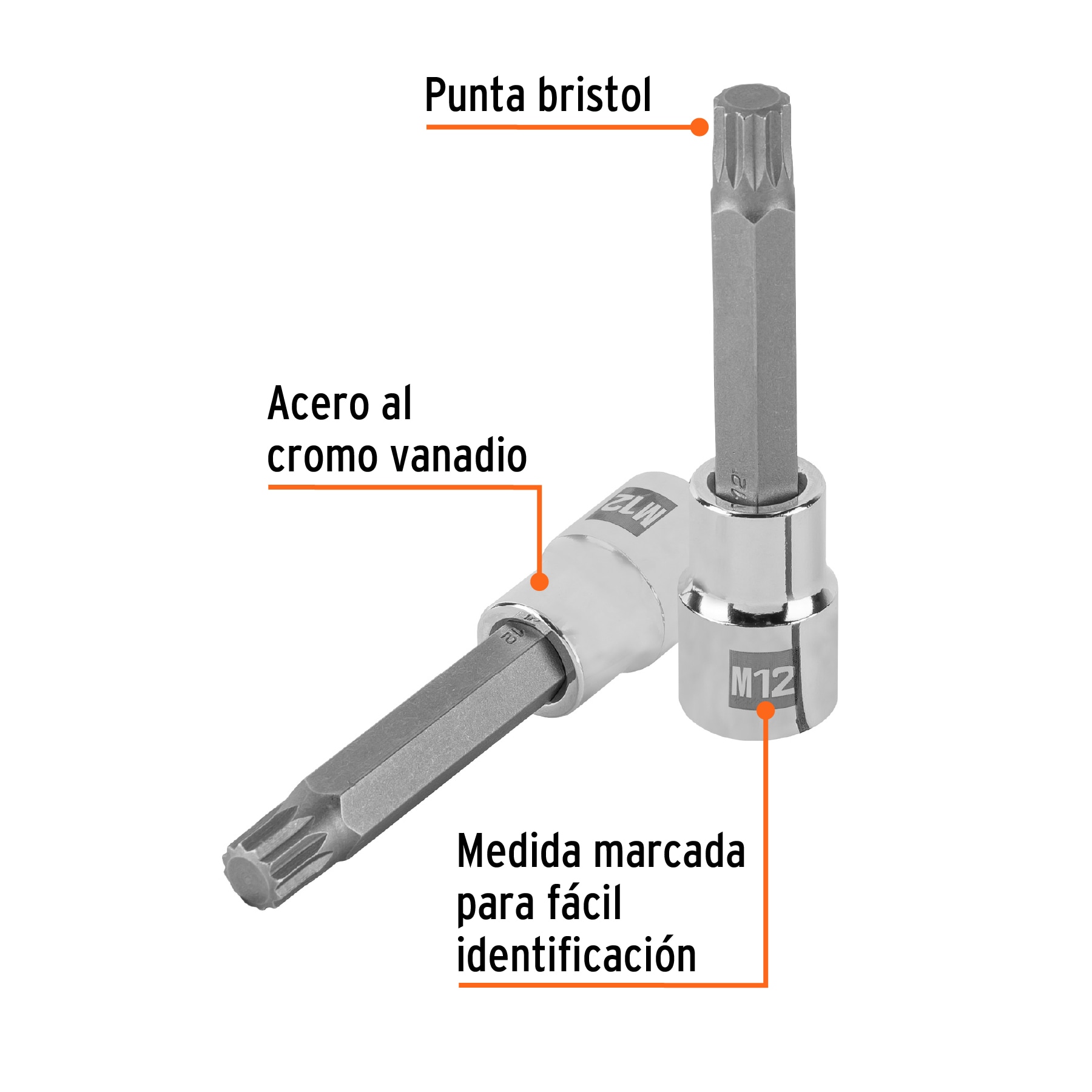 Copa punta larga bristol M12, raíz 1/2" - Imagen 3