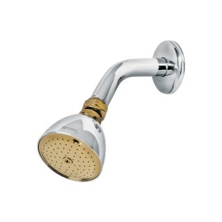 Regadera cónica 2-1/2",metálica, brazo y chapetón, cromo-oro